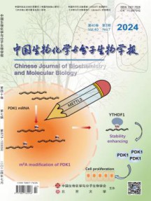 中国生物化学与分子生物学报
